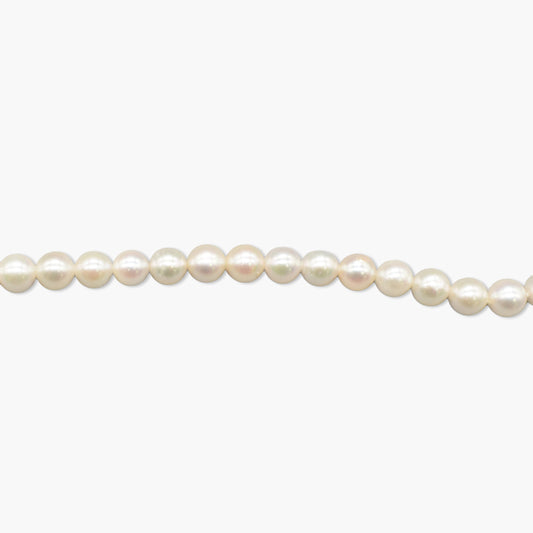 akoya pearl x chain necklace(55cm)