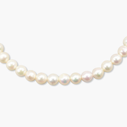 akoya pearl x chain necklace(40cm)