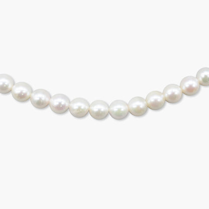 akoya pearl x chain necklace(55cm)