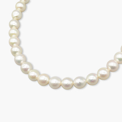 akoya pearl x chain necklace(40cm)