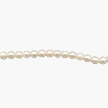akoya pearl x chain necklace(55cm)