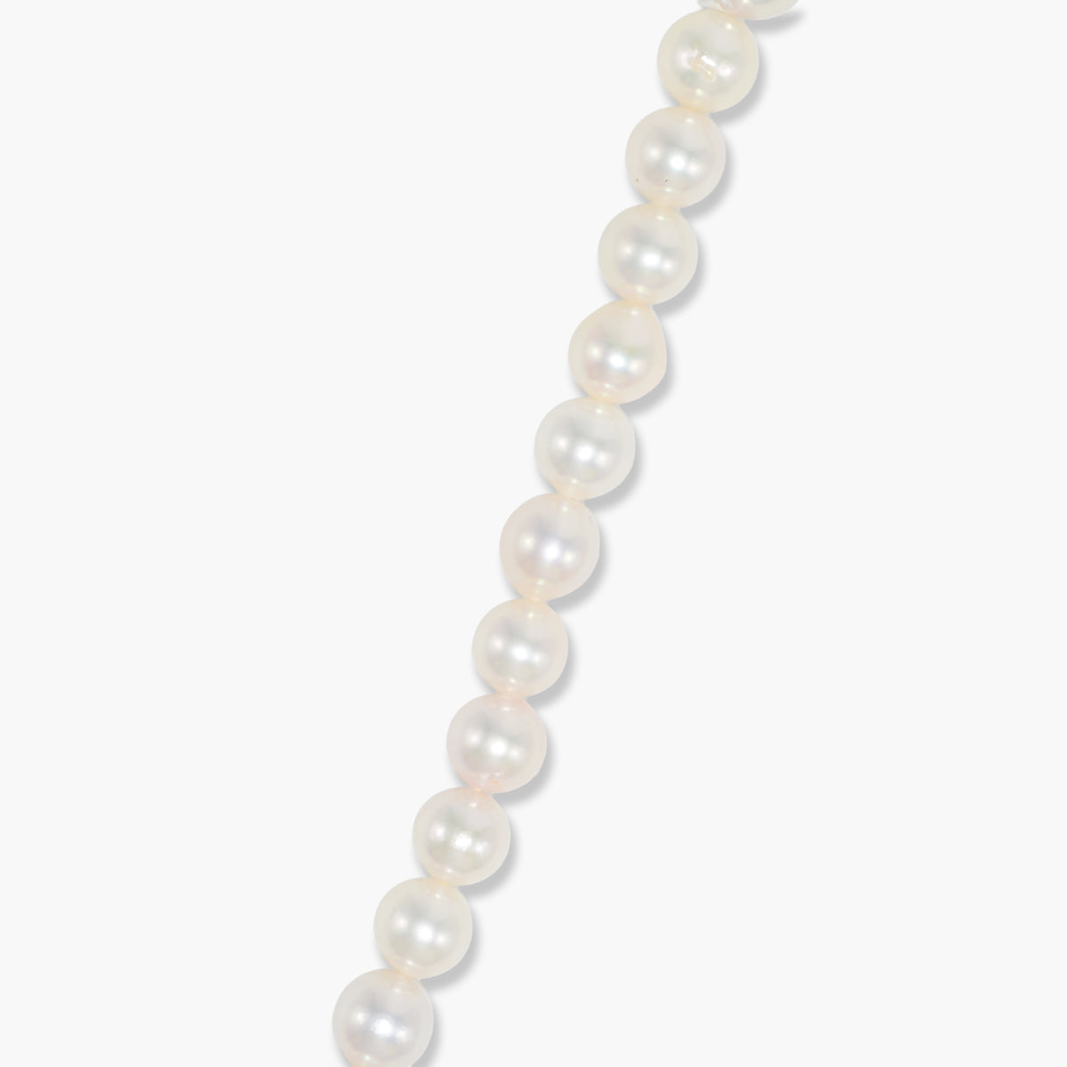 【nef - ESSENTIAL PEARL】akoya pearl × chain necklace / white × cobalt mix