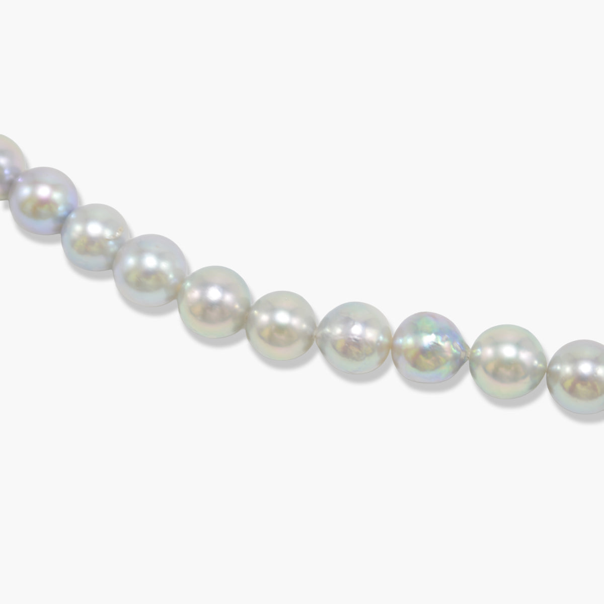 【nef - ESSENTIAL PEARL】akoya pearl x chain necklace / white x cobalt mix