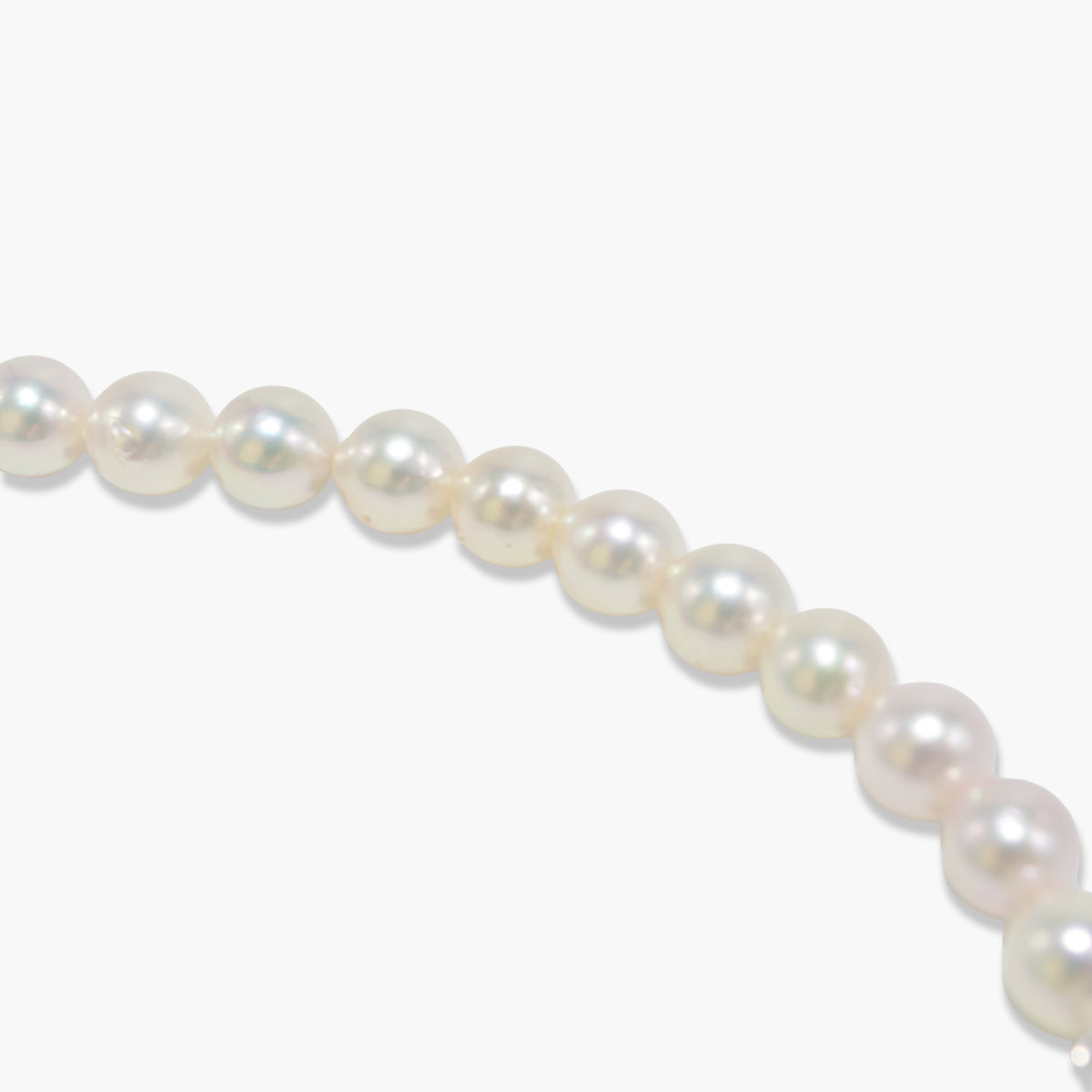 【nef - ESSENTIAL PEARL】akoya pearl x chain necklace / white x cobalt mix