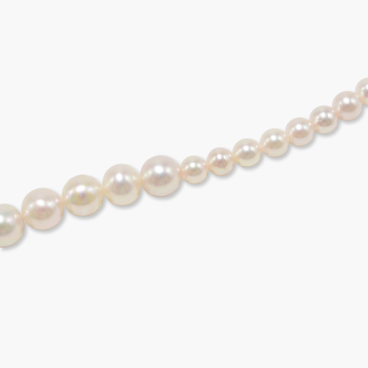 【nef - ESSENTIAL PEARL】akoya pearl x lapis lazuli necklace