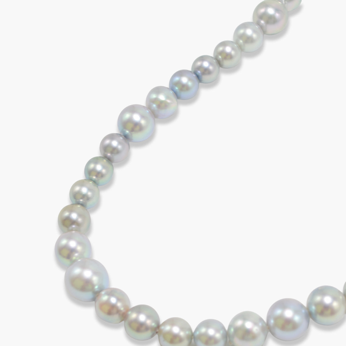 【nef - ESSENTIAL PEARL】akoya pearl (natural blue × cobalt) necklace