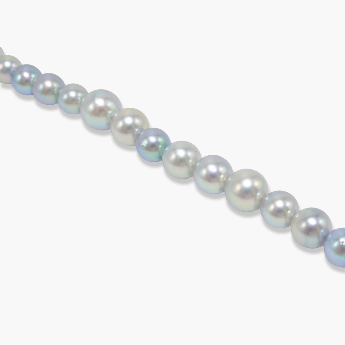【nef - ESSENTIAL PEARL】akoya pearl (natural blue × cobalt) necklace